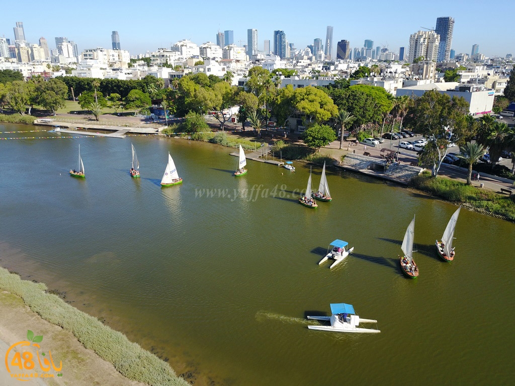 al3oja nahre (16).JPG